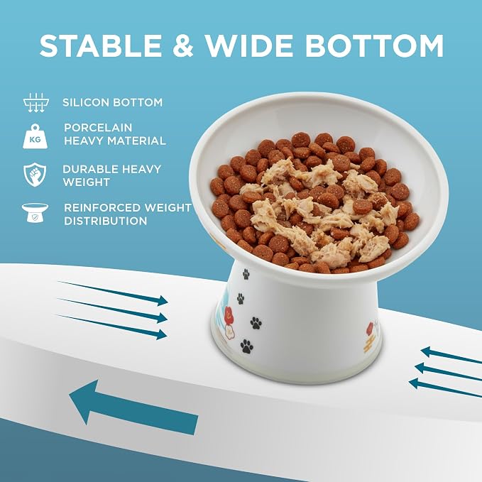 Necoichi Raised Cat Food Bowl – Ceramic Elevated 15° Tilted cat Bowl for Whisker & Neck Fatigue, Dishwasher & Microwave Safe, Non-Slip Anti-Vomiting Design (Fuji, Extra Wide Tilted, 1.5-Cups Capacity)