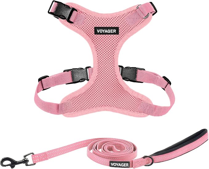 Best Pet Supplies Voyager Step-in Lock Pet Harness w Reflective Pet Leash Combo Set with Neoprene Handle 5ft - Supports Small, Medium and Large Breed Puppies/Cats - Pink, XL