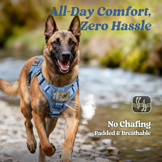 rabbitgoo Tactical Dog Harness for Large, Heavy Duty Military No Pull Vest | Sturdy Metal Buckles, 5 Adjustments, Molle System, Powerful Pullers for Training, Hunting, Outdoor, Blue Reflex, Large