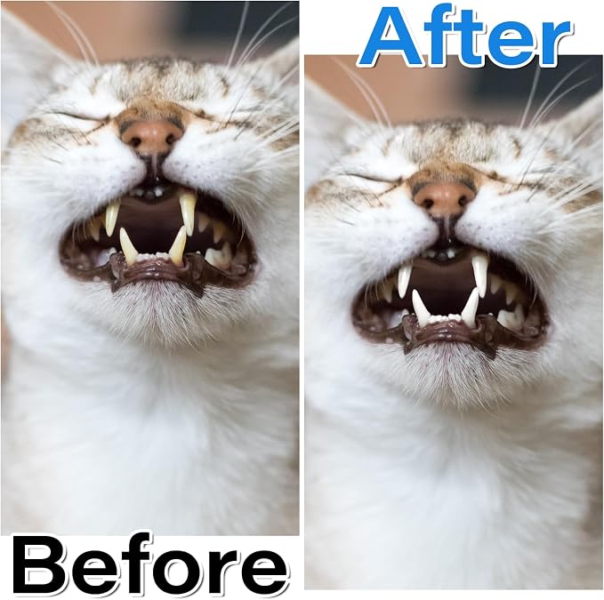EupHHonycs 4 Pcs 360-Degree Small Dog and Cat Soft Toothbrush Pet Toothbrush for Small Dog and Cat Puppy