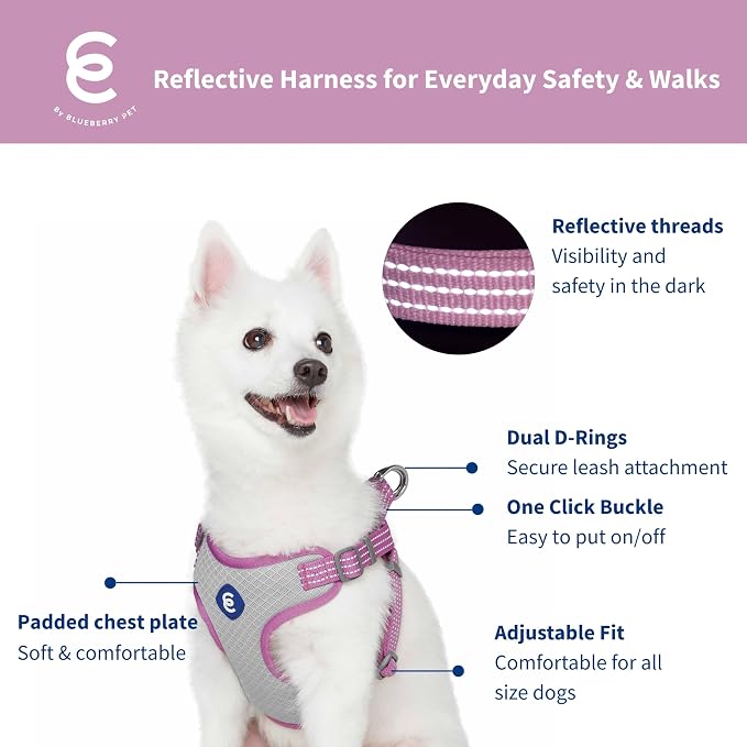 Blueberry Pet Essentials Back to Basics Reflective Dog Harness Vest, Mauve Orchid, Medium, Adjustable Harnesses for Dogs