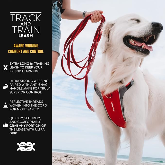 EzyDog Track and Train 16 Foot Premium Dog Leash - Red | Ultra Grippy rubber Lokgrip Webbing, Anti-Snag Handle, 16-Feet Extra Long Dog Lead, Traffic Control Handle