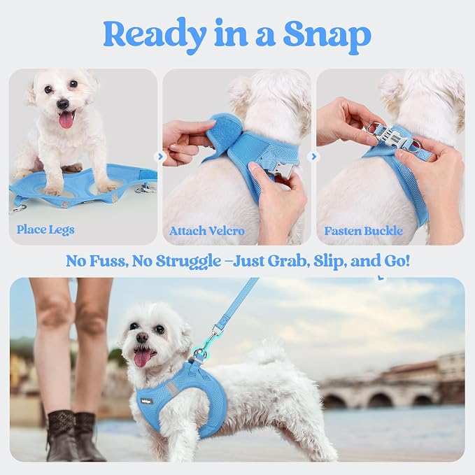 rabbitgoo Dog Harness Small Sized and Leash Set, Step-in Puppy Pet Vest | Light, Soft, Breathable Air Mesh, Easy on and Remove with Hook & Loop, Secure Reflective for Walking, Blue XXS