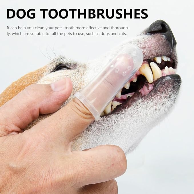 Cabilock 10 Sets Silicone Finger Toothbrushes for Pets Comfortable Gums Massager and Teeth Cleaner for Dogs and Cats Small Portable Dental Care Tool for Puppy Teeth Cleaning
