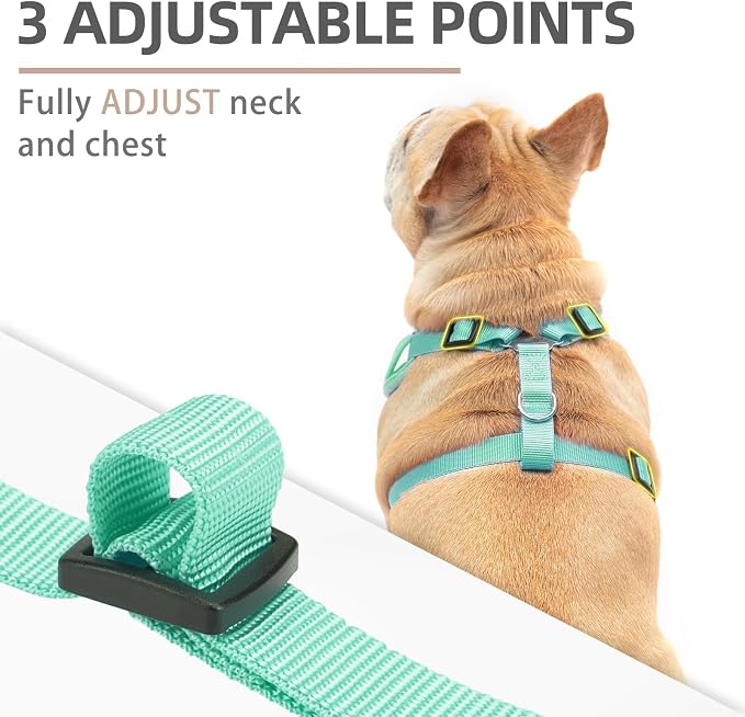 PUPTECK Small Dog Harness and Leash Set, No Pull Adjustable Puppy Cat Harness, Reflective Soft Mesh Pet Vest Small Sized, Green, L