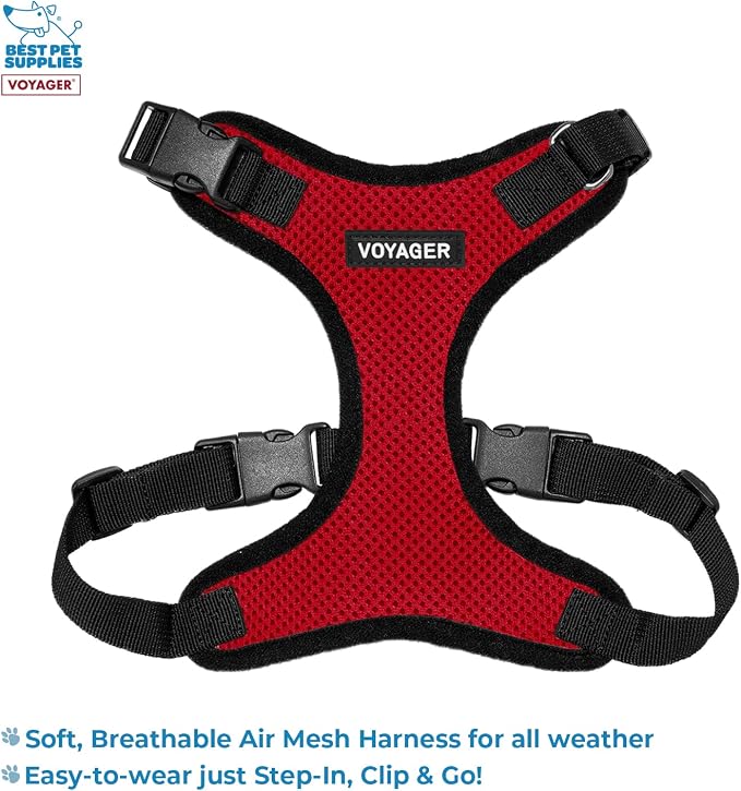 Best Pet Supplies Voyager Step-in Lock Pet Harness w Reflective Pet Leash Combo Set with Neoprene Handle 5ft - Supports Small, Medium and Large Breed Puppies/Cats - Red/Black Trim, XS