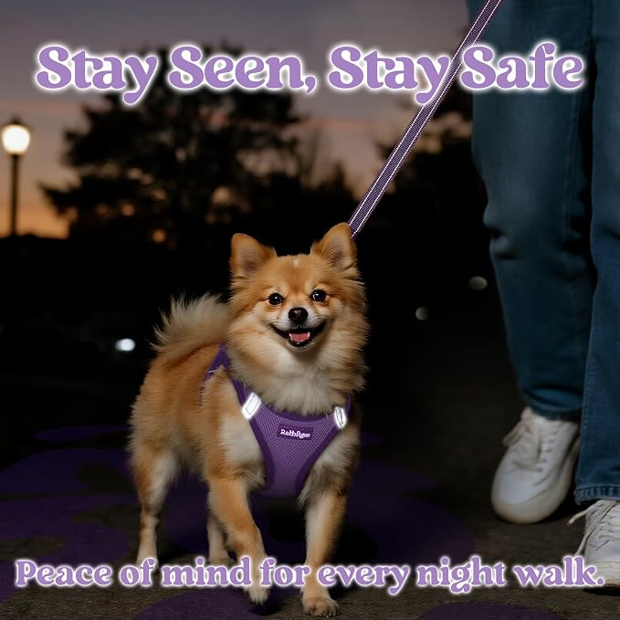 rabbitgoo Dog Harness Small Sized and Leash Set, Step in Soft Vest | Breathable Mesh, Easy Wear with Hook & Loop, Light and Reflective for Walking, Multi-colored, Light Purple & Purple, S
