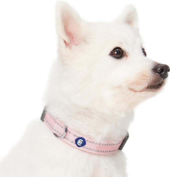 Blueberry Pet Essentials Reflective Dog Collar & Leash Set, Adjustable for Small Dogs | Safe Walking Gear for Pet Parents, Puppy Training & Daily Use SmallDogs, Baby Pink