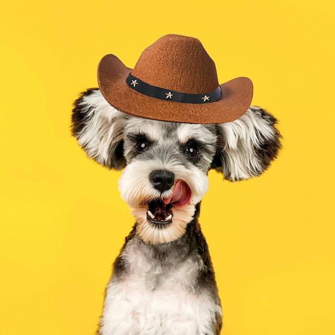 Dog Cowboy Hat & Bandana Scarf (Coffee, Large, Large