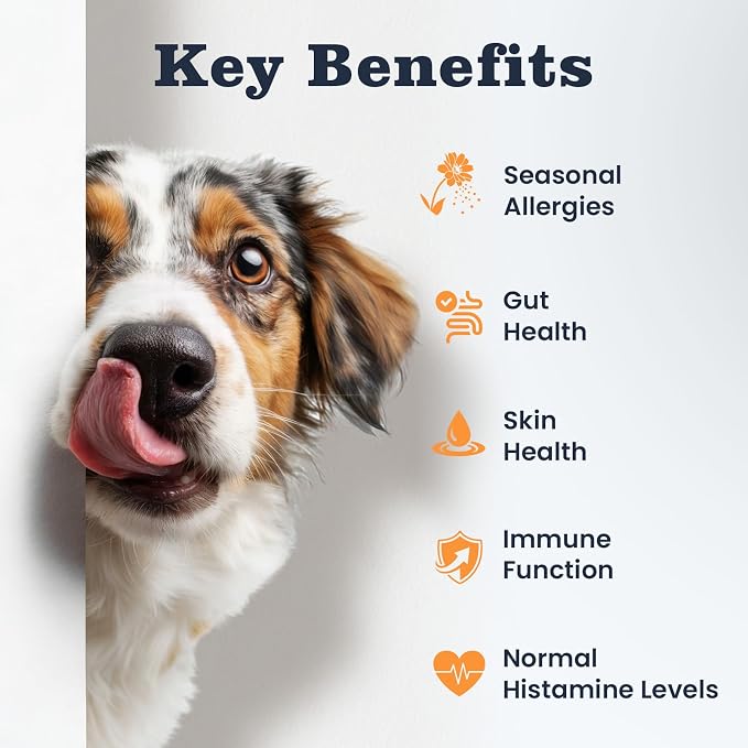 Dog Allergy Chews 200 Ct, Itch Relief for Dogs Immune Support Seasonal All Issues Allergies Colostrum Probiotics & Omega 3 for Skin & Coat, Itchy Skin & Paw Relief Bites, Made in USA