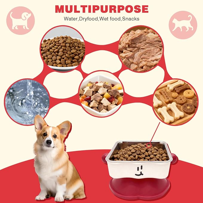 Elevated Cat & Small Dog Bowl - 30° Slanted Anti-Slip Feeding Bowl, Detachable Stainless Steel Design, Reduces Stomach Pressure, Comfortable Eating Posture, Easy to Clean, Fits Cats & Small Breeds