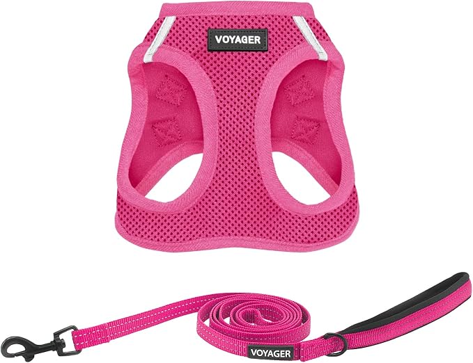 Best Pet Supplies Voyager Step-in Air All Weather Mesh Harness and Reflective Dog 5ft Leash Combo with Neoprene Handle, for Small, Medium and Large Breed Puppies - Fuchsia, X-Large