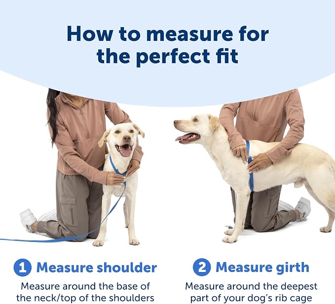 PetSafe Easy Walk Comfort No Pull Dog Harness, Green Gringham, Small | Stops Pulling on First Use with Front Martingale Loop, Padded Comfort, 5-Point Adjustable Fit
