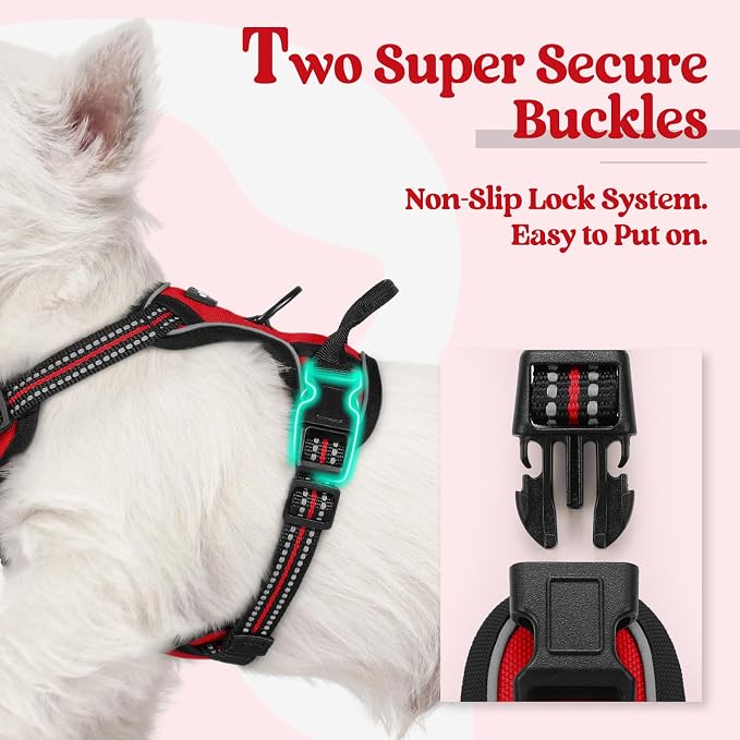 rabbitgoo Dog Harness, No Pull for Small Dogs with 2 Leash Clips, Pet Vest | No Choke, Adjustable, Breathable Padded, 2 Lead Rings, Reflective, Easy Control for Walking Training, XS, Red