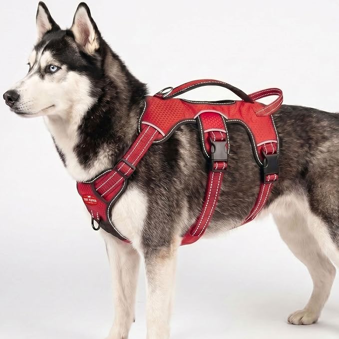 Tuff Pupper Escape Proof No Escape Dog Harness | 5 Point Adjustable Fit Harness for Dogs | Padded Dog Harnesses | Handle Dog Lift Harnesses