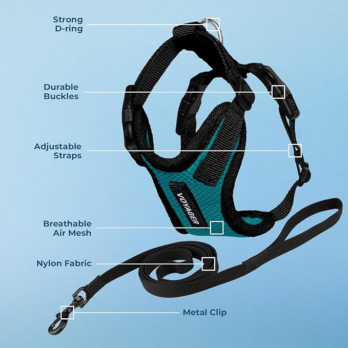Voyager Escape-Proof Step-in Lock Cat Harness & 5ft Neoprene-Handle Leash Set All-Weather Mesh with Reflective Stitching for Small to Large Cats by Best Pet Supplies, Turquoise/Black Trim, XXXS