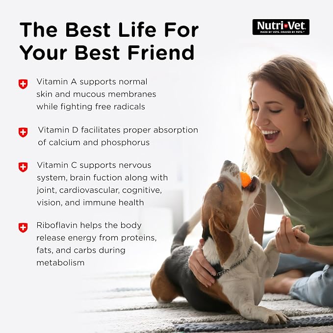 Nutri-Vet Dog Multivitamin, Daily Multivitamin for Dogs, 180 Count | Daily Multivitamin, Dog Vitamins, Dog Vitamins & Supplements, Immune Support, Balanced Nutrition, Overall Pet Health