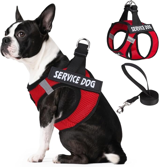 PUPTECK Service Dog Harness and Leash Set for Small Medium Dogs No Pull Step-in Soft Mesh Puppy with 2 Removable Patches Cat Vest Harnesses Reflective at Night, Red, M