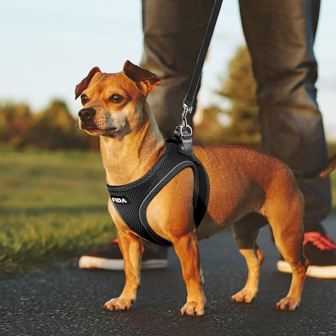 Fida Comfy Dog Harness with Leash, Soft Puppy Vest Escape Proof, Breathable Lightweight Soft Mesh, Adjustable Reflective Step-in Harness for Small & Medium Pet Walking (L, Black)