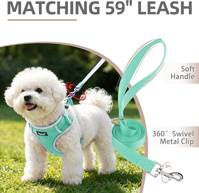 PUPTECK Dog Harness and Leash Set, No Pull Adjustable Pet Small Dog Harness, Reflective Soft Mesh Pet Vest, for Small Medium Dogs Walking, Green, XS