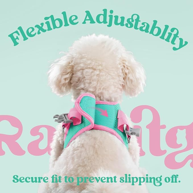rabbitgoo Dog Harness Small Sized and Leash Set, Step in Soft Vest | Breathable Mesh, Easy Wear with Hook & Loop, Light and Reflective for Walking, Multi-colored, Teal & Pink, S