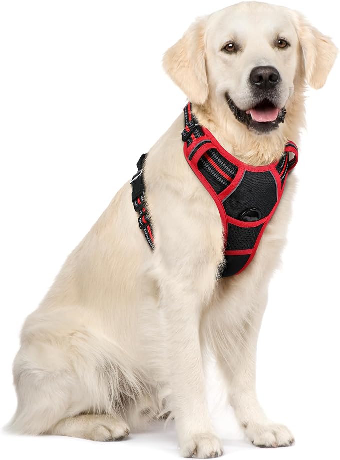 rabbitgoo Dog Harness, No Pull for Large Dogs with 2 Leash Clips, Pet Vest | No Choke with Handle, Adjustable Soft Padded, Reflective, Easy Control for Walking, Black & Red, X-Large