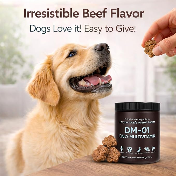 DM-01 Daily Multivitamin for Dogs, Dog Daily Multivitamin for Skin & Coat Health, Joint Support, Digestive Health, with Salmon Oil, Chondroitin, and Natural Vitamins, Beef Flavor, 60 Chews (1)