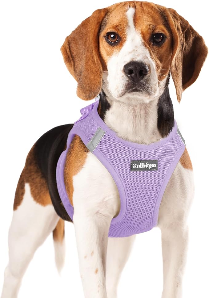rabbitgoo Step-in Small Dog Harness, Puppy Vest for Small Medium Sized Pet | Easy Put on and off, Lightweight, Soft, Breathable Quick-Dry Air Mesh for Comfortable Secure Walking, Light Purple XL