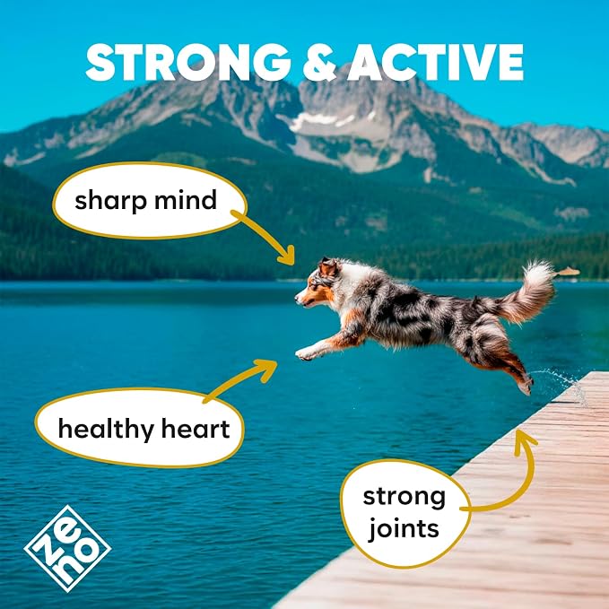 ZENO Wild Alaskan Salmon Oil for Dogs & Cats - Pure Fish Oil for Dogs with Omega 3, EPA & DHA Supplements for Skin & Coat, Joint and Brain Support, Heart & Immune System - 8.5 oz
