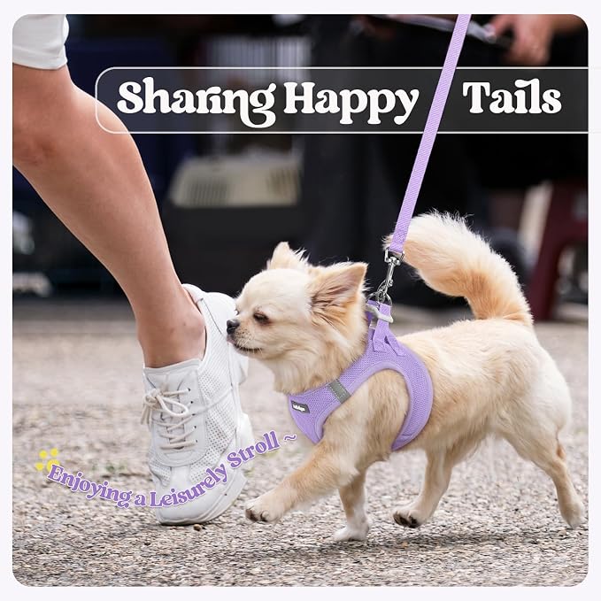 rabbitgoo Dog Harness Medium Sized and Leash Set, Step-in Puppy Pet Vest | Light, Soft, Breathable Air Mesh, Easy on and Remove with Hook & Loop, Secure Reflective for Walking, Light Purple XL