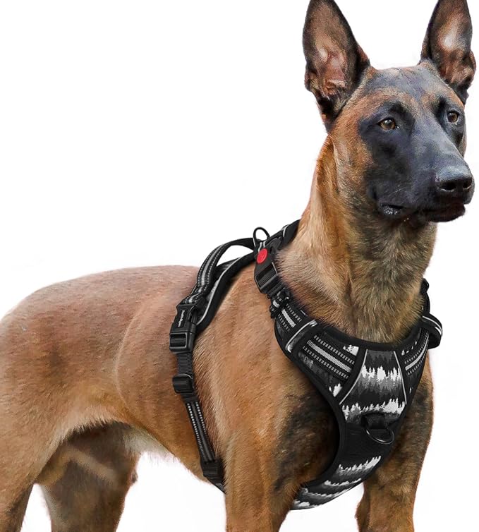 rabbitgoo Dog Harness for Large, Updated Easy On & Off with 3 Buckles | No Pull No Choke, Walking with 2 Clips and Handle, Adjustable Soft Reflective, Mountain Black, X-large