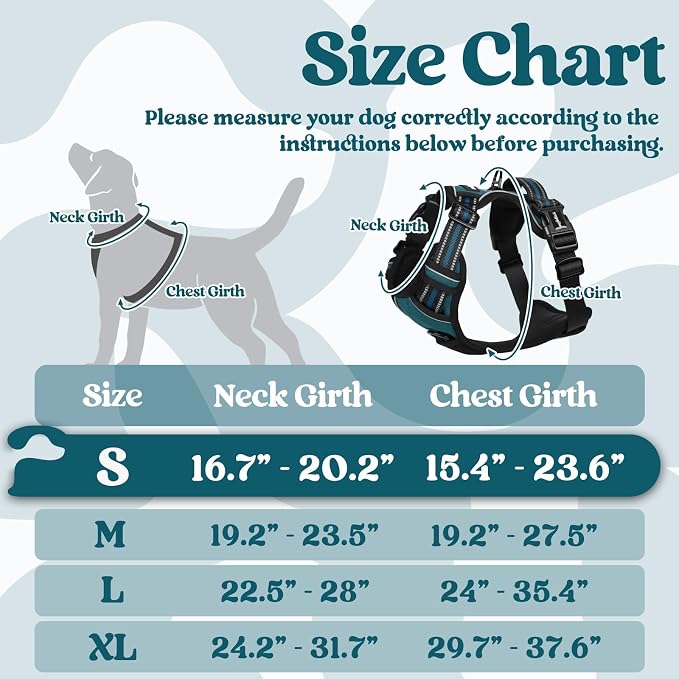 rabbitgoo Dog Harness Small Sized, Updated Easy On & Off with 3 Buckles | No Pull No Choke, Walking with 2 Clips and Handle, Adjustable Soft Reflective, Blue Coral, Small