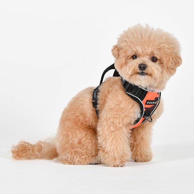 Puppia Battle Dog Harness H Sturdy Adjustable Neck and Chest Reflective Camouflage Pattern Front and Back D-Ring for Small and Medium Dogs, Orange, Small