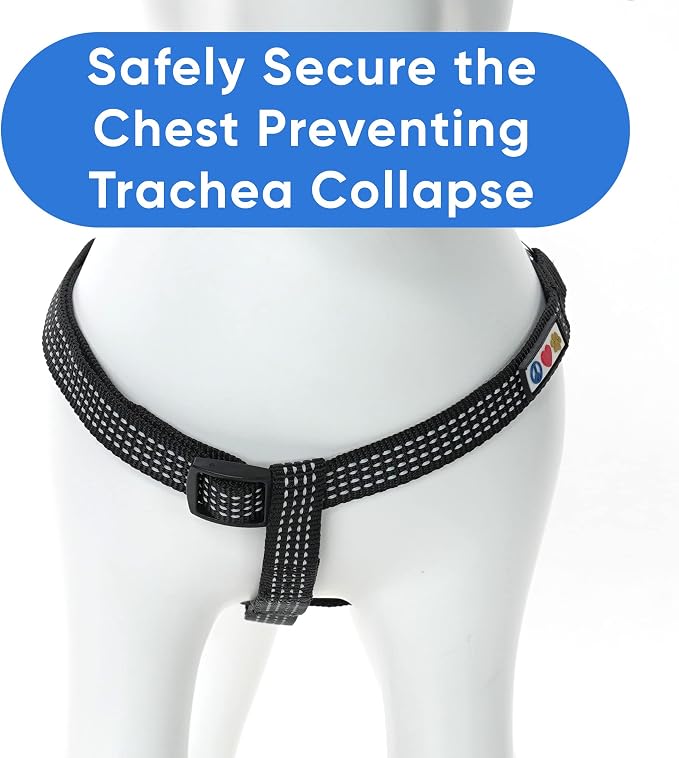Pawtitas Reflective Step-in Dog Harness – Adjustable No-Pull Vest for Puppies to Seniors, Safe & Comfortable, M Black
