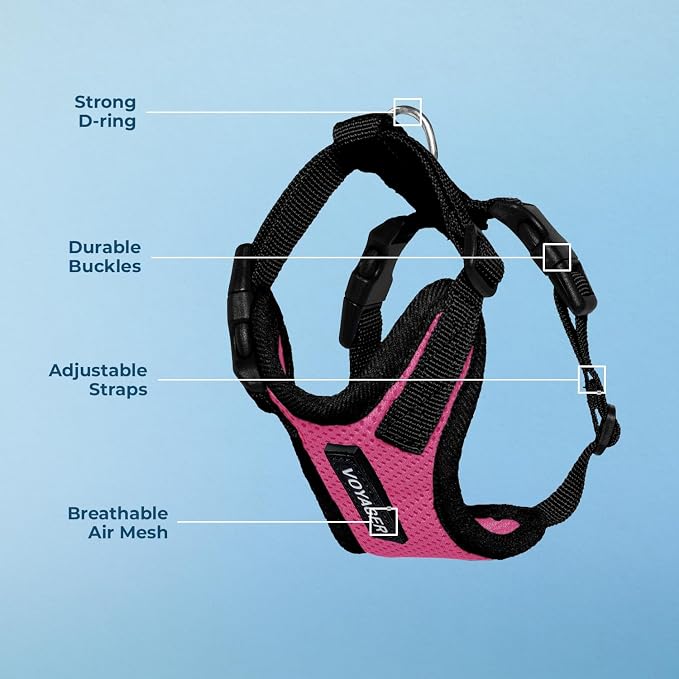Voyager Step-in Lock Dog Harness - Fuchsia/Black Trim, Large | 20 - 25" in Chest, Adjustable, Breathable Air Mesh, Lightweight for Daily Walks, Strong Clips, Heavy Duty D-Ring