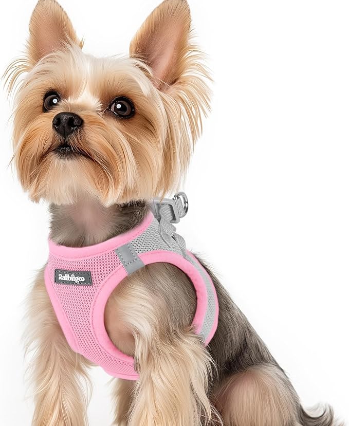 rabbitgoo Step-in Small Dog Harness, Puppy Vest for Small Sized Pet | Easy Put on and off, Lightweight, Soft, Breathable Quick-Dry Air Mesh for Comfortable Secure Walking, Light Pink & Gray XS