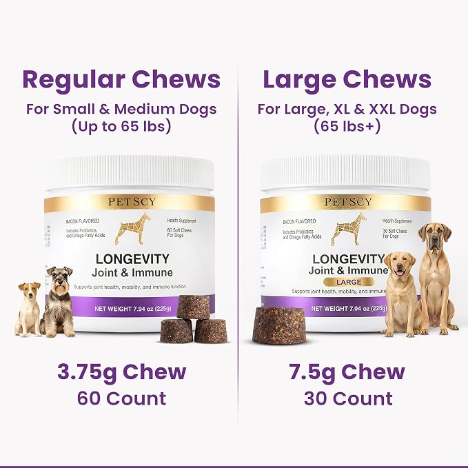 Petscy Longevity Hip & Joint + Immune Support for Dogs - Large (7.5g Chew) - High Dose Glucosamine, MSM, Chondroitin, Green Lipped Mussel, Omega 3, Probiotics - 30 Chews (Large Dogs)