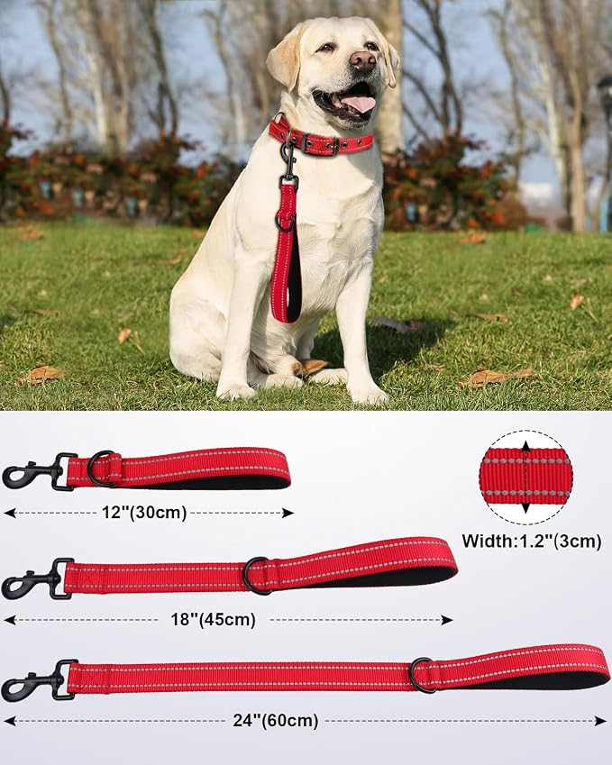 Joytale Short Dog Leash for Close Control & Training, 12", Red | Padded Comfort Handle, Reinforced Nylon Webbing, Secure Metal Clip, for Busy Streets & Heel Training