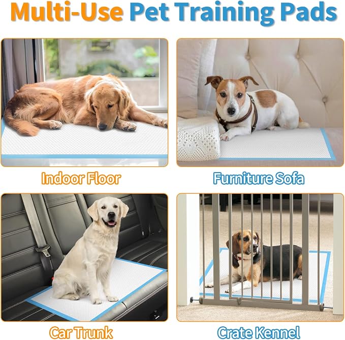 Dog and Puppy Training Pads， Disposable Dog Pee Pads (20, 23.5"*35.5"(60*90cm))