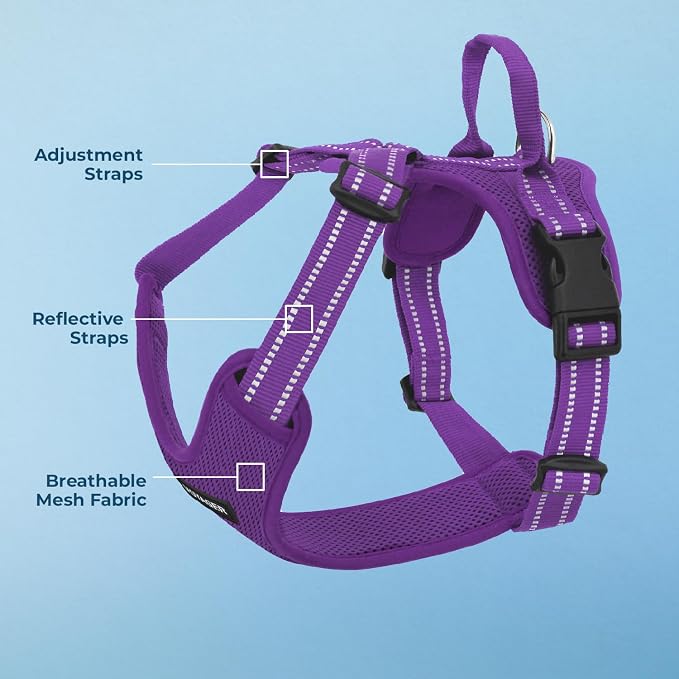 Air Frontier Mesh Dog Harness with Steel Leash D-Ring, Reflective Stitching, and Lightweight Breathable No-Pull Design, Adjustable Neck and Chest Straps for Small to Large Breeds - PPW, XS