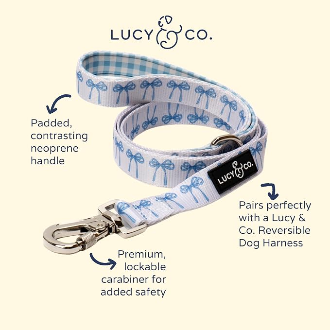Lucy & Co. 5 Foot Designer Dog Leash for Small, Medium or Big Dogs or Puppies Puppy – Pet Accessories & Supplies - Large - White with Blue Bows
