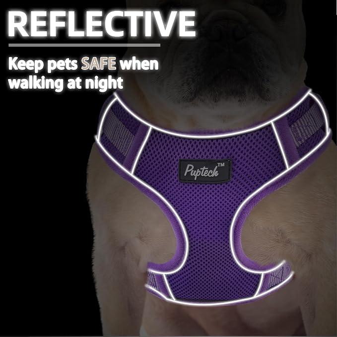 PUPTECK Soft Mesh Small Dog Harness and Leash Set Pet Puppy Cat Adjustable Reflective Padded Vest No Pull Harnesses, Purple, M
