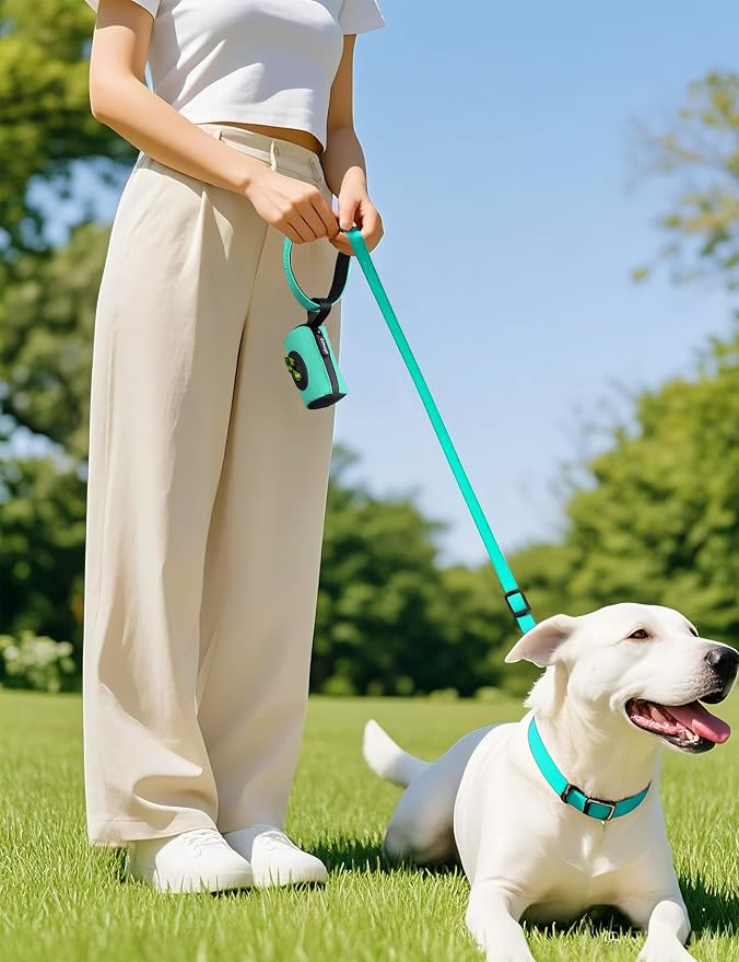 Gobeigo【Easy Pull-Out Version】 Dog Poop Bag Holder,【2-in-1 Hard Plastic Insert & Soft Fabric Bag】Snap-On Strap Dispenser Fits Retractable and Standard Leashes with 1 Roll Bags (Turquoise)