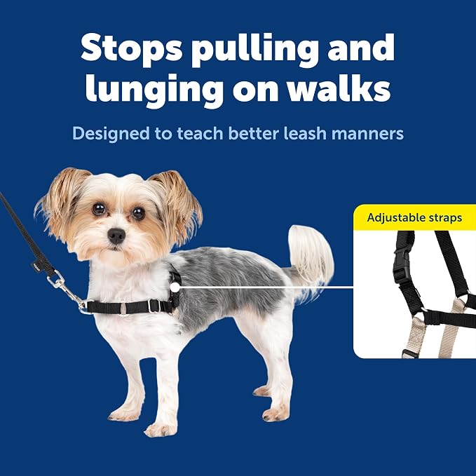 PetSafe Easy Walk Harness for Dogs - Pull-Free Walks - Patented Martingale Loop Design - Front Chest Leash Attachment - Comfort Straps - Breathable Harness Design - Petite/Small, Black/Silver
