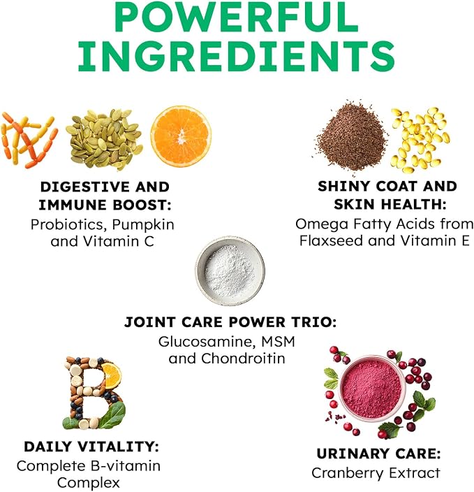 Dog Vitamins and Supplements - 150 Dog Multivitamin Chewable - Immune, Joint Support, Skin, Gut Health + Packed with Omega 3s, Glucosamine & Probiotics - Safe for Puppy - Beef
