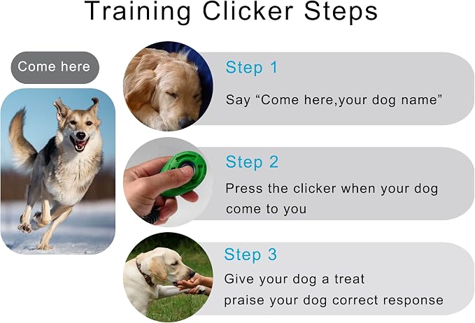 Pet Training Clicker with Wrist Strap, Black & Deep Green & Tangerine & Yellow