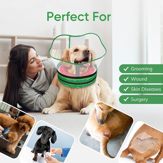 Supet Sponge Dog Cone Collar Stop Licking After Surgery, Dog Donut Collar | Adjustable Dog Recovery Collar Alternative, Detachable Shield, Soft, Comfy Cone, Neck Pillow for Small Dogs