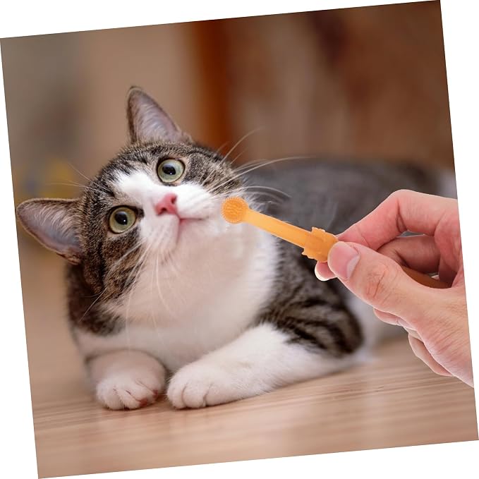Healifty Silicone Cat and Small Dog Toothbrush Kit with Dual Head Design Portable Pet Dental Brush for Plaque Removal and Oral Health Care Suitable for Puppies and Cats