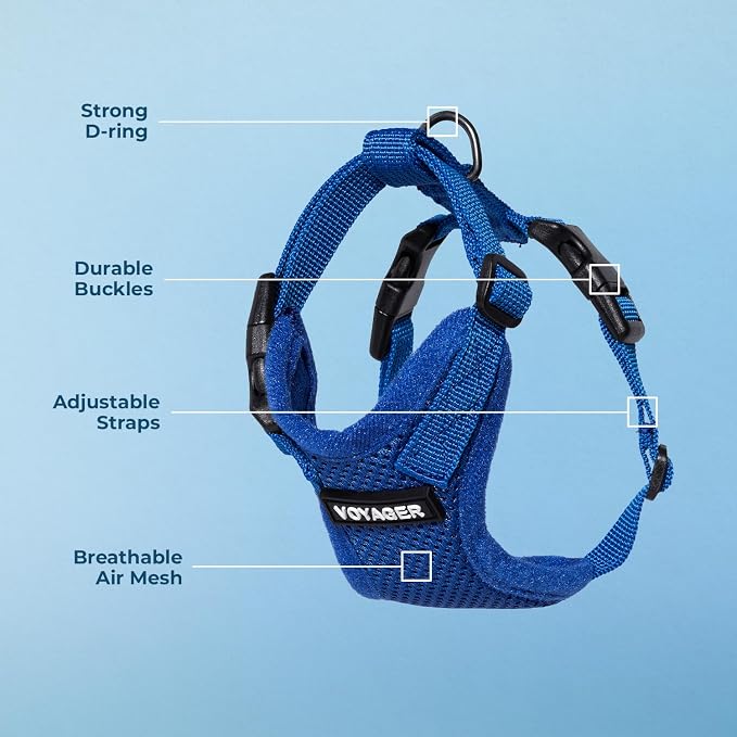 Voyager Step-in Lock Dog Harness - Royal Blue, Large | 20 - 25" in Chest, Adjustable, Breathable Air Mesh, Lightweight for Daily Walks, Strong Clips, Heavy Duty D-Ring