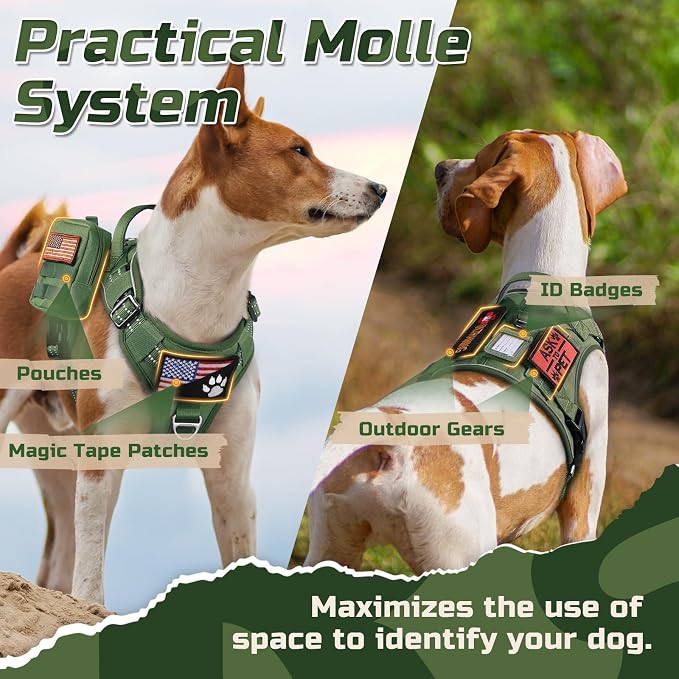 rabbitgoo Tactical Dog Harness for Small, No Pull Military Service Vest | Molle & Handle, Heavy Duty, Adjustable, Reflective Straps, Easy Control for Training Walking, Green, Small